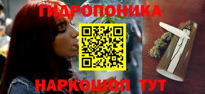 прущие крисы Обь