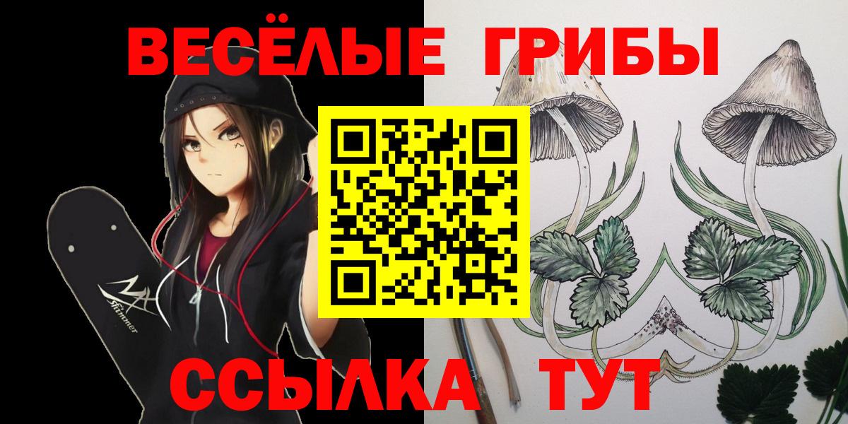 Пушкино  Галлюциногенные грибы MAGIC MUSHROOMS  купить наркотик  Вход с VPN 