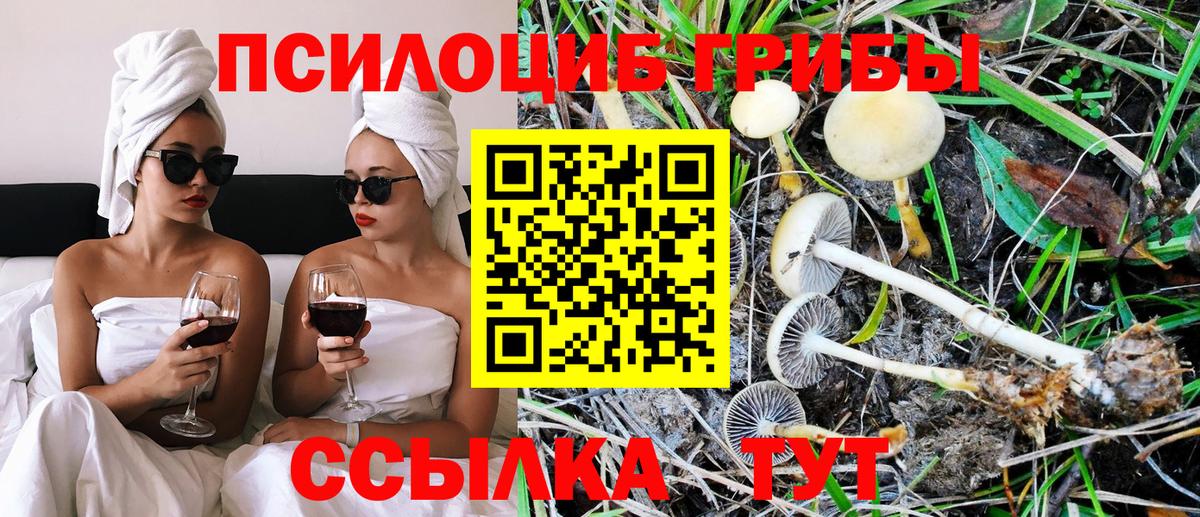 Псилоцибиновые грибы мухоморы Пушкино